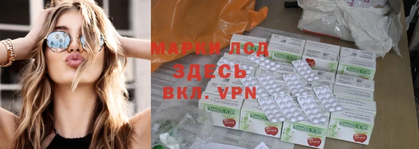 крисы Аркадак