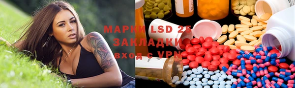 крисы Аркадак