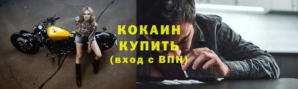 мет Арсеньев