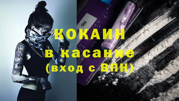 крисы Аркадак
