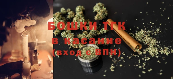 крисы Аркадак
